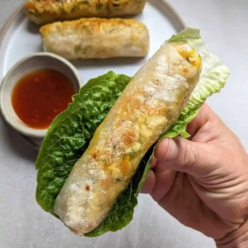 High Protein Rice Paper Rolls