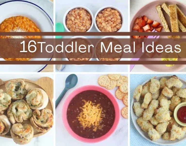 Toddler Meal Ideas